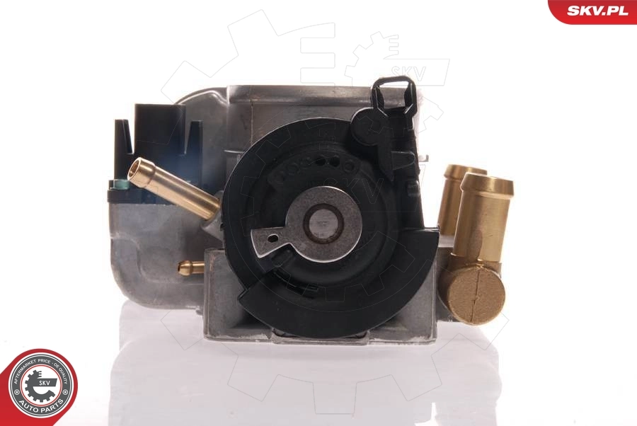Throttle Body